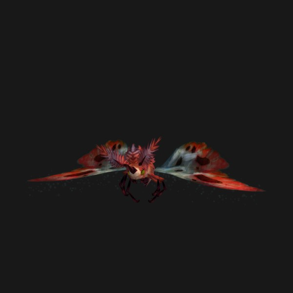 Crimsonwing Moth