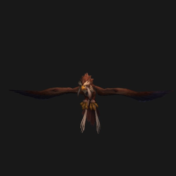 Kaliri Hatchling