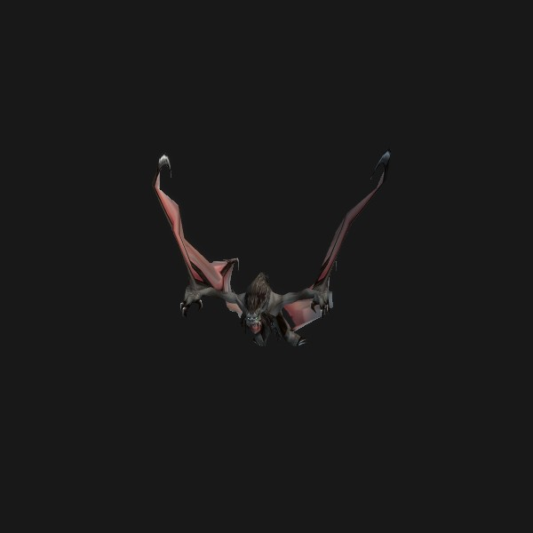 Hog-Nosed Bat