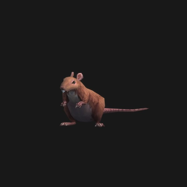 Dig Rat