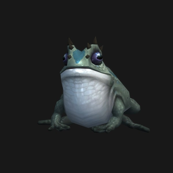 Swamp Toad