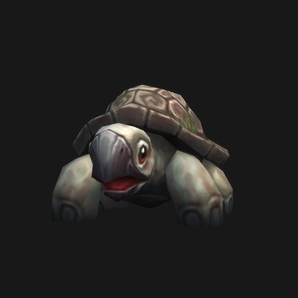 Chalkshell Turtle