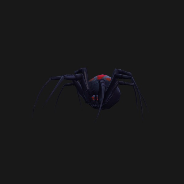 Widow Spiderling