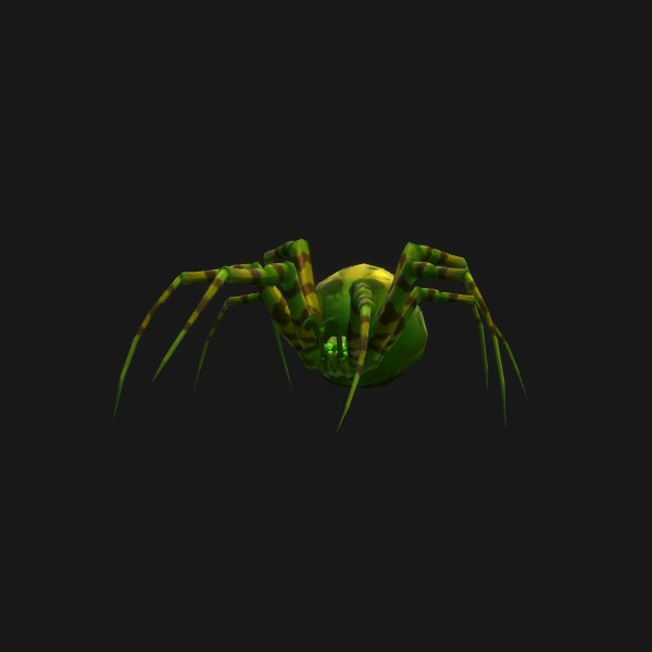 Spider