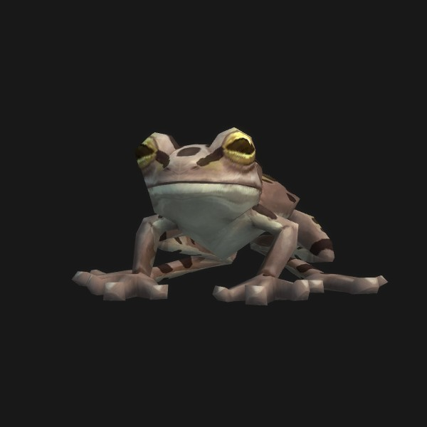 Toad