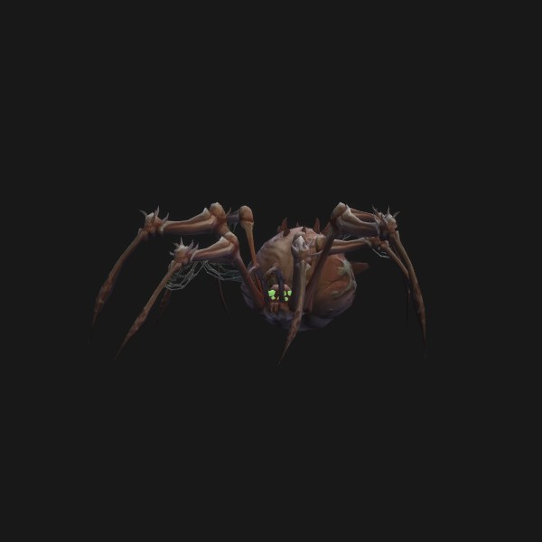 Desert Spider