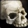 Ghostly Skull Icon