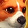 Corgnelius Icon