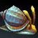 Spireshell Snail Icon