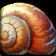 Scooter the Snail Icon