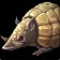 Stone Armadillo Icon