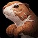 Brown Prairie Dog Icon