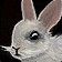 Tolai Hare Icon